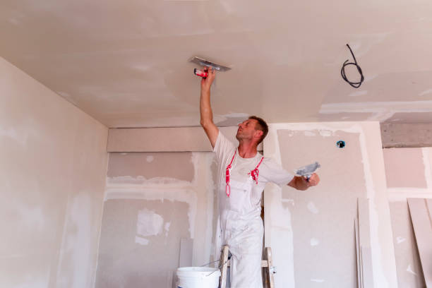 Best Drywall Removal and Disposal  in Russellville, AL